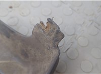 1608693880 Клык бампера Citroen Jumper (Relay) 2014-2025 20680926 #9