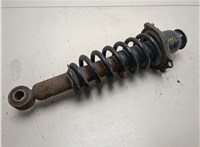 19184417, 19184407 Амортизатор подвески Pontiac Vibe 2 2008-2010 20681804 #1