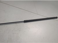 DP5Z16C826B Амортизатор капота Lincoln MKZ 2016-2020 20682770 #1