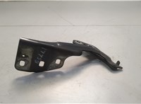 DP5Z16796A Петля капота Lincoln MKZ 2016-2020 20682896 #1