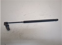  Амортизатор капота Tesla Model S 20683951 #1