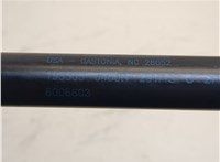  Амортизатор капота Tesla Model S 20683951 #2