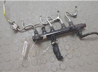 9674300080 Рампа (рейка) топливная Peugeot Boxer 2014-2025 20685157 #1