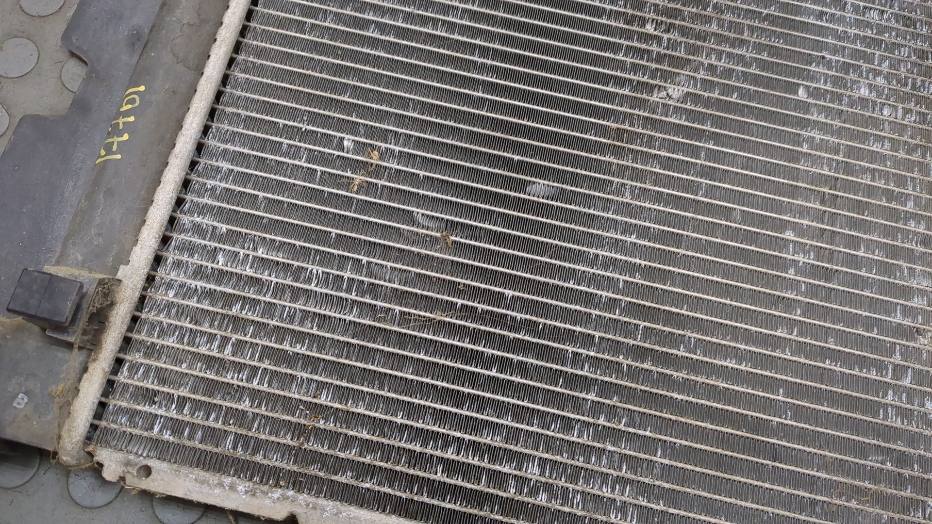 Радиатор охлаждения двигателя основной