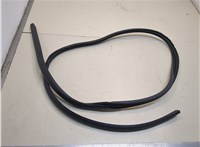  Уплотнитель Subaru Legacy VII 2019-2023 20687429 #1