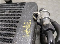 4D0317021C Радиатор масляный Volkswagen Phaeton 2002-2010 20687437 #3
