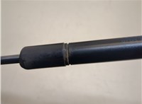  Амортизатор крышки багажника Pontiac Vibe 2 2008-2010 20687495 #3