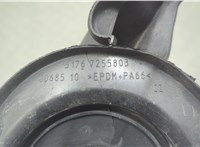 51767255803, 7255803 Уплотнитель BMW 3 F30 2012-2019 20692994 #4