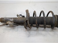 1595291, 4M5118045PBD Амортизатор подвески Ford Focus 2 2008-2011 20695658 #1