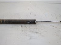 4875052100 Амортизатор подвески Toyota iQ 2008-2011 20695755 #1