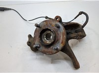  Ступица (кулак, цапфа) Ford Fusion 2002-2012 20696707 #1