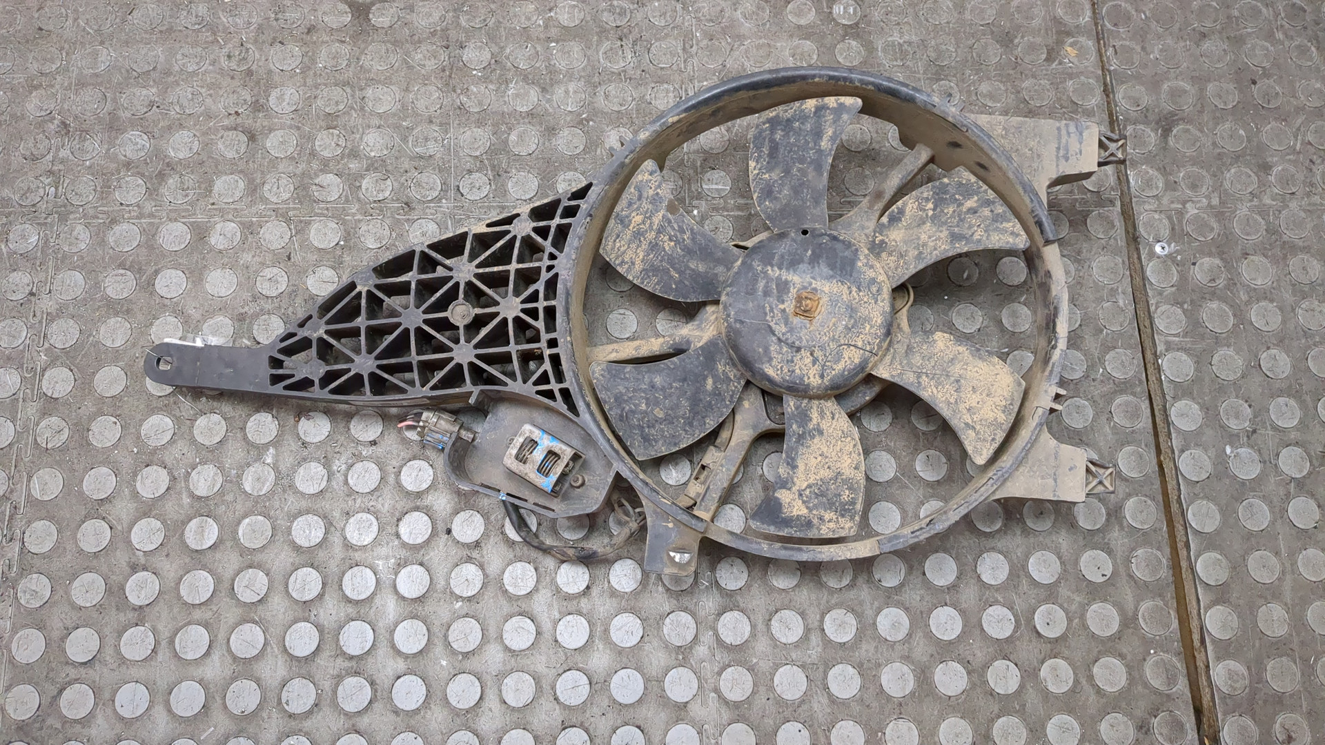 Вентилятор радиатора