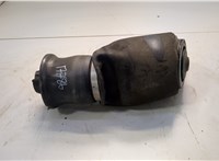 A1663200325 Пневмоподушка Mercedes GL X164 2006-2012 20700620 #1