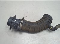  Измеритель потока воздуха (расходомер) Nissan Qashqai 2006-2013 20702682 #1
