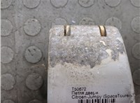 9820029280, 9820032180 Петля двери Citroen Jumpy (SpaceTourer) 2017-2025 20702710 #2