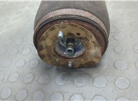 37126750356 Пневмоподушка BMW X5 E53 2000-2006 20703055 #3