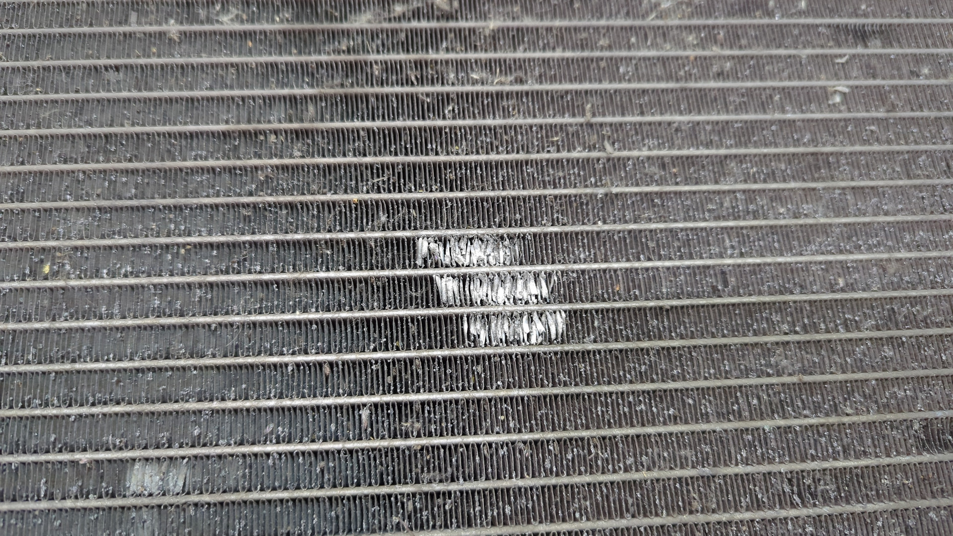 Радиатор охлаждения двигателя основной