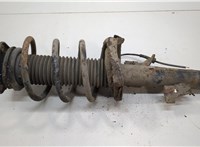 1619274, 3M5118K001CCM Амортизатор подвески Ford Focus 2 2008-2011 20703620 #1