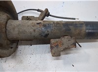 1619274, 3M5118K001CCM Амортизатор подвески Ford Focus 2 2008-2011 20703620 #3