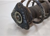 1619269, 3M5118045CCM Амортизатор подвески Ford Focus 2 2008-2011 20704101 #2