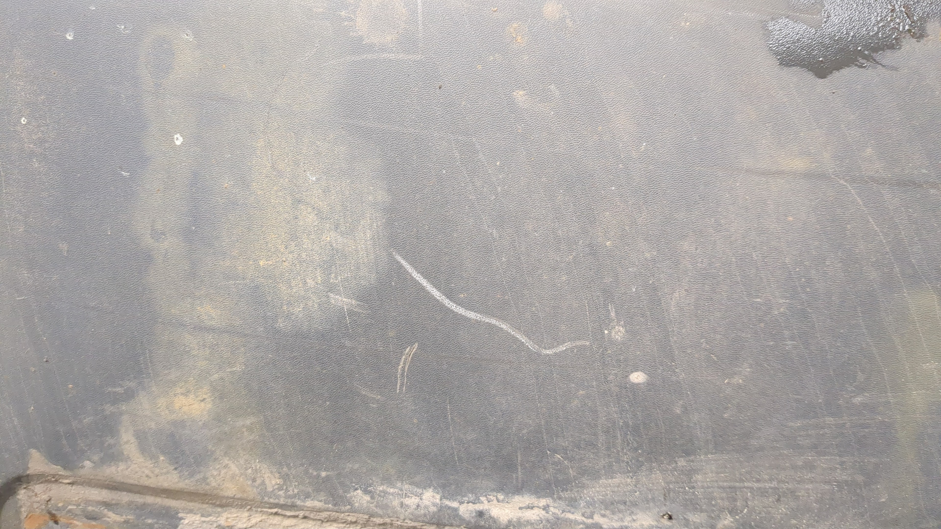 Крыло переднее правое