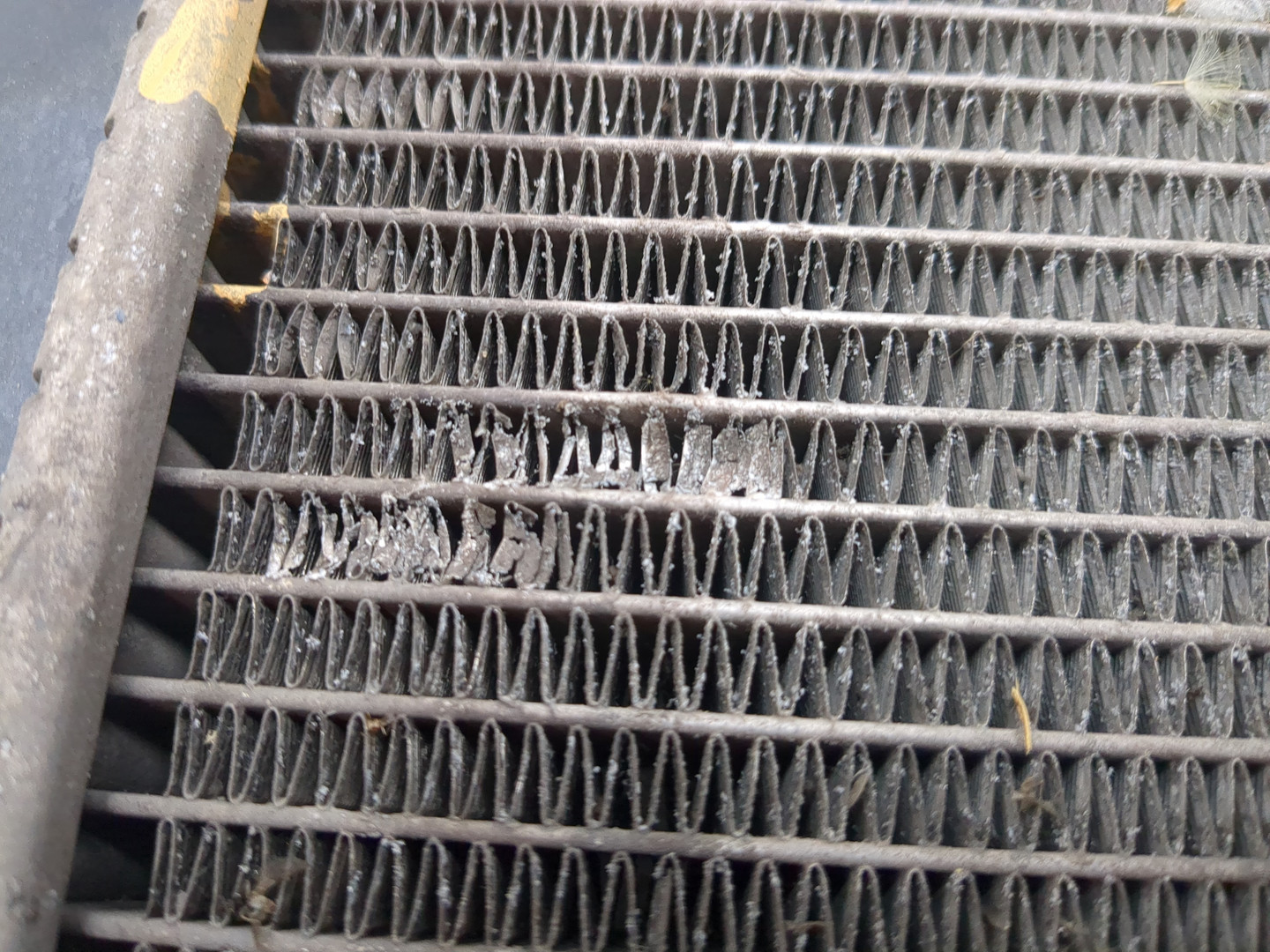 Радиатор охлаждения двигателя основной