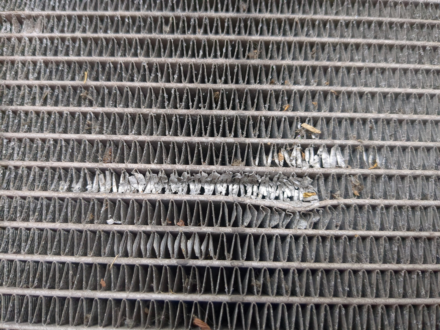 Радиатор охлаждения двигателя основной