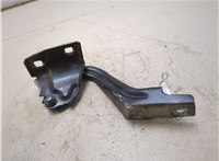 1612684780 Петля капота Citroen Jumper (Relay) 2014-2025 20713368 #1