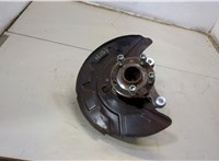 5QF501611D, 1EA407253H, 1EA615311E Ступица (кулак, цапфа) Audi Q4 E-tron 2021-2025 20714853 #1