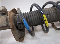 1370820 Амортизатор подвески Ford Focus 2 2005-2008 20717758 #5