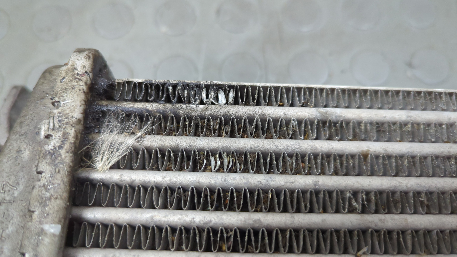 Интеркулер