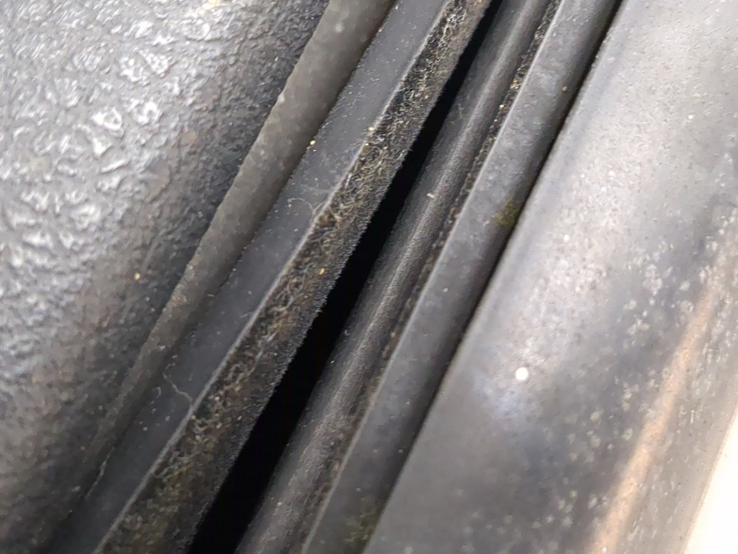 Дверь передняя левая