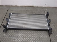 203650449 Радиатор охлаждения двигателя Peugeot Boxer 2014-2025 20723146 #6