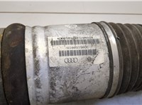 3D0616001N Амортизатор подвески Volkswagen Phaeton 2002-2010 20723418 #2