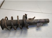 1595298, 4M5118K001PBD Амортизатор подвески Ford Focus 2 2008-2011 20724247 #1