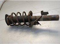 1595298, 4M5118K001PBD Амортизатор подвески Ford Focus 2 2008-2011 20724247 #3