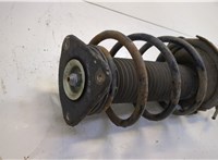 1595291, 1595298, 1335386 Амортизатор подвески Ford Focus 2 2005-2008 20725290 #2