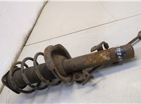 1595291, 1595298, 1335386 Амортизатор подвески Ford Focus 2 2005-2008 20725290 #3