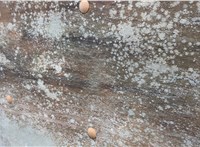  Ручка раздвижной двери наружная Nissan Serena (C23) 1991-2002 11564883 #11