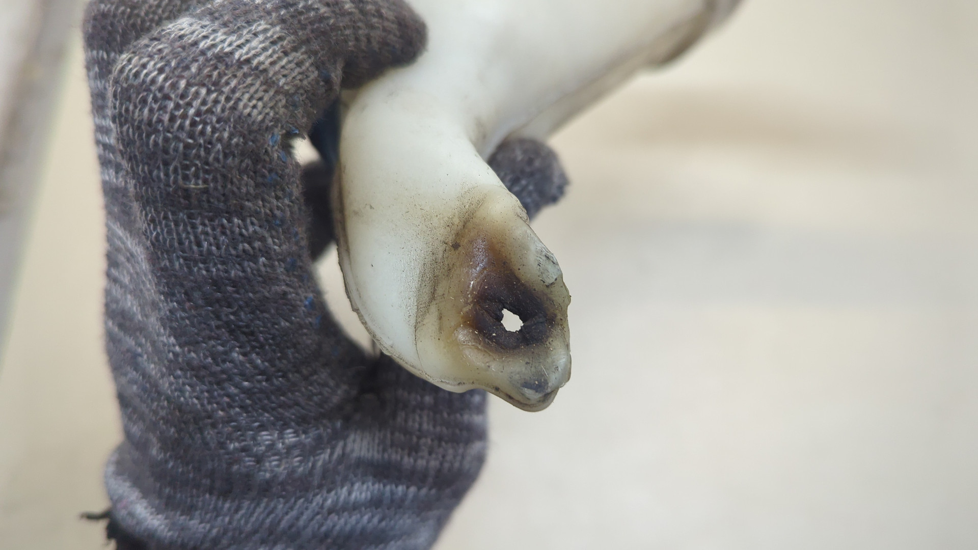 Горловина бачка омывателя