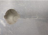 DC34173810AA Накладка подножки Ford F-250 2010-2016 20729048 #2