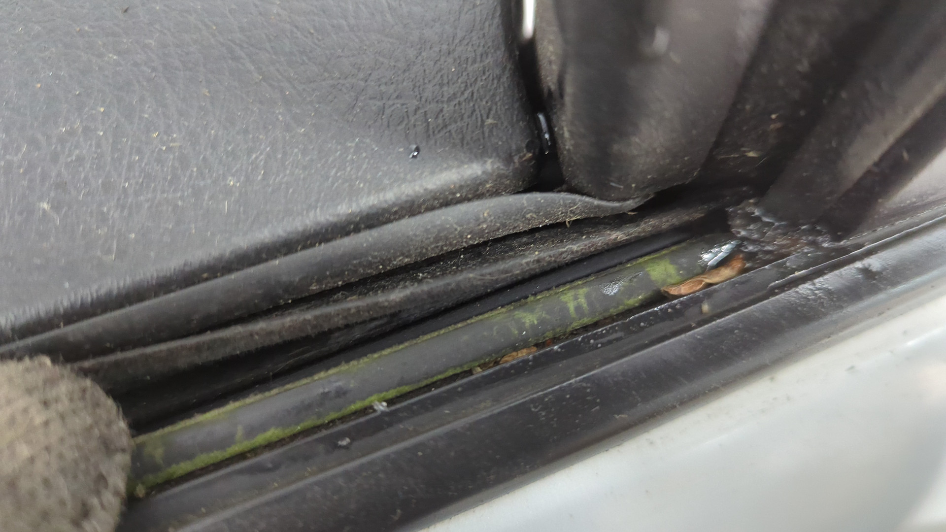 Дверь задняя правая