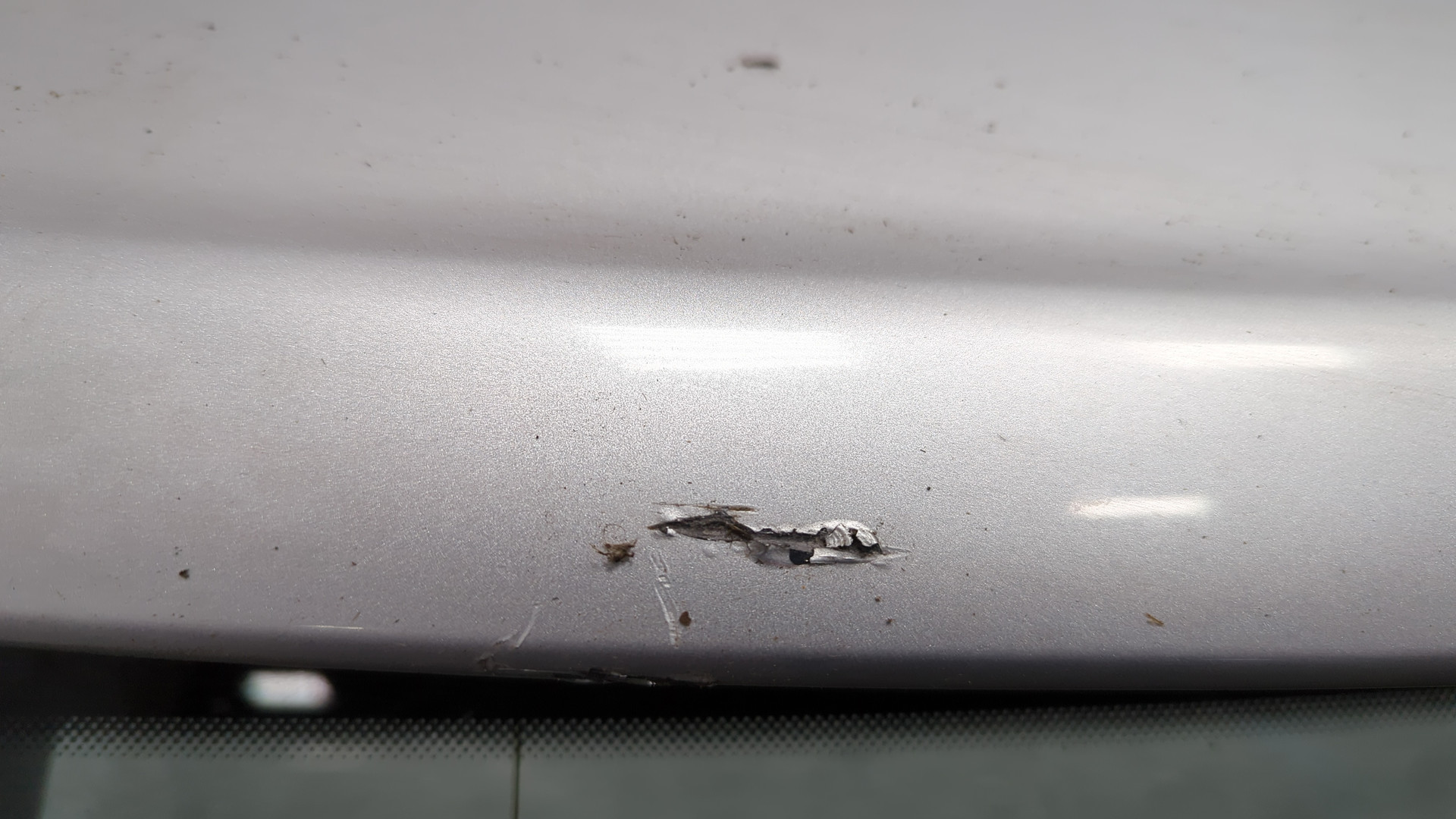 Дверь багажника