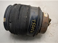 A2123202025 Пневмоподушка Mercedes E W212 2009-2016 20733730 #1