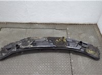4894051AJ Жабо под дворники (дождевик) Chrysler Voyager 2000-2007 20733977 #4