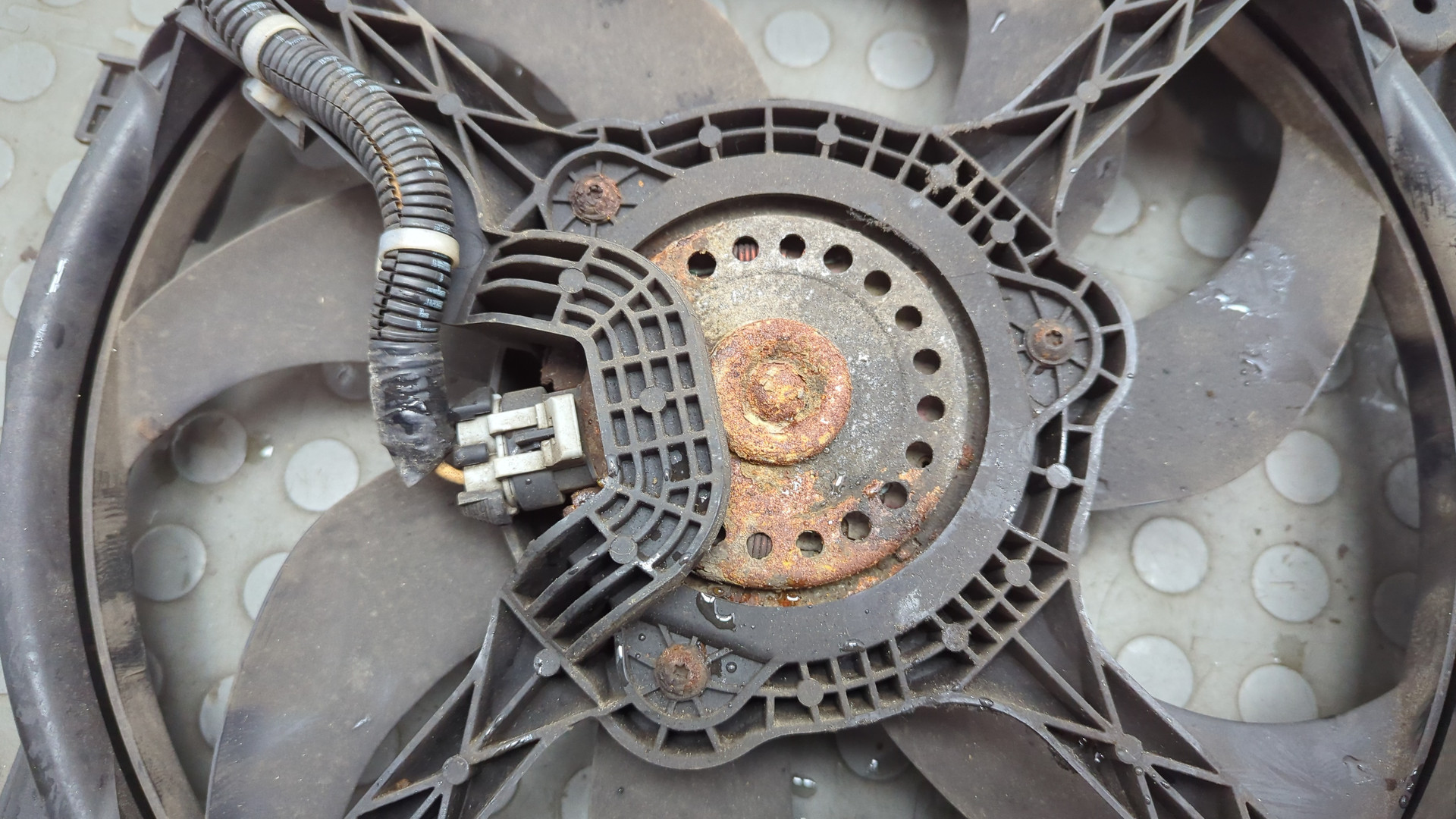 Вентилятор радиатора