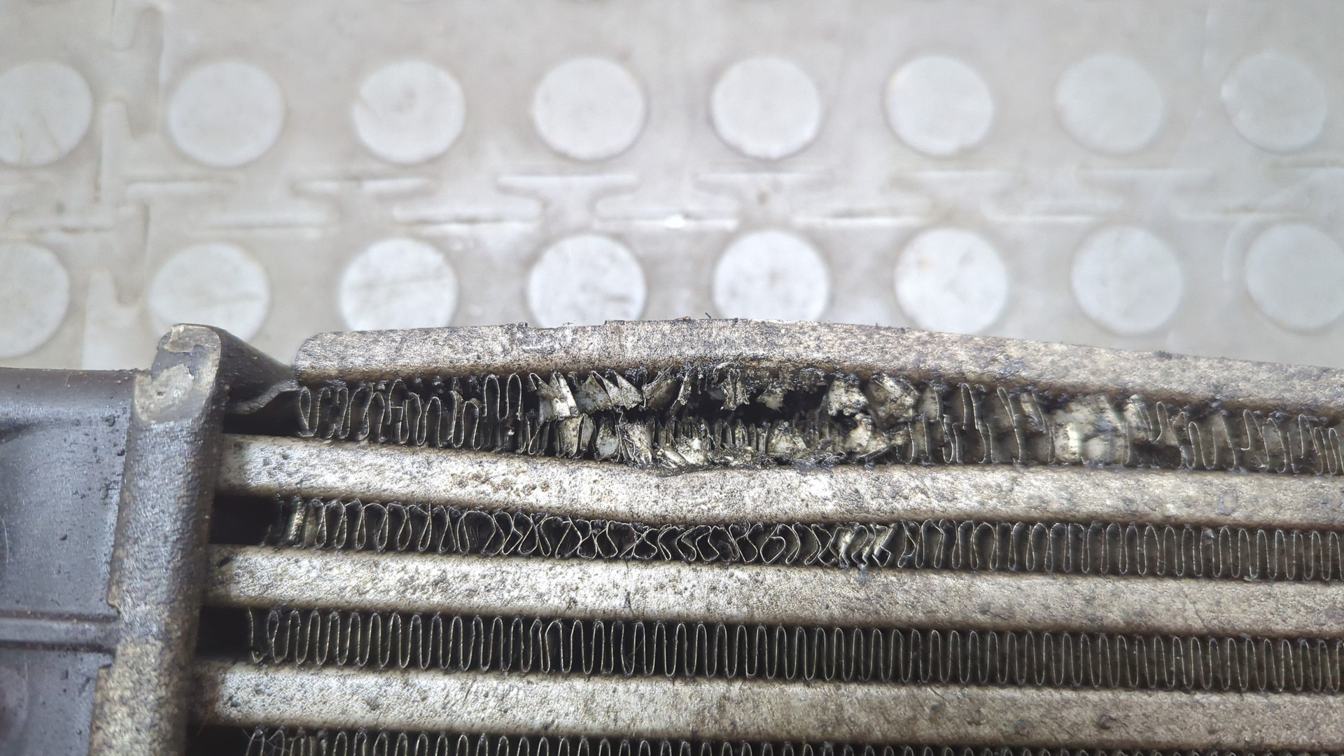 Интеркулер