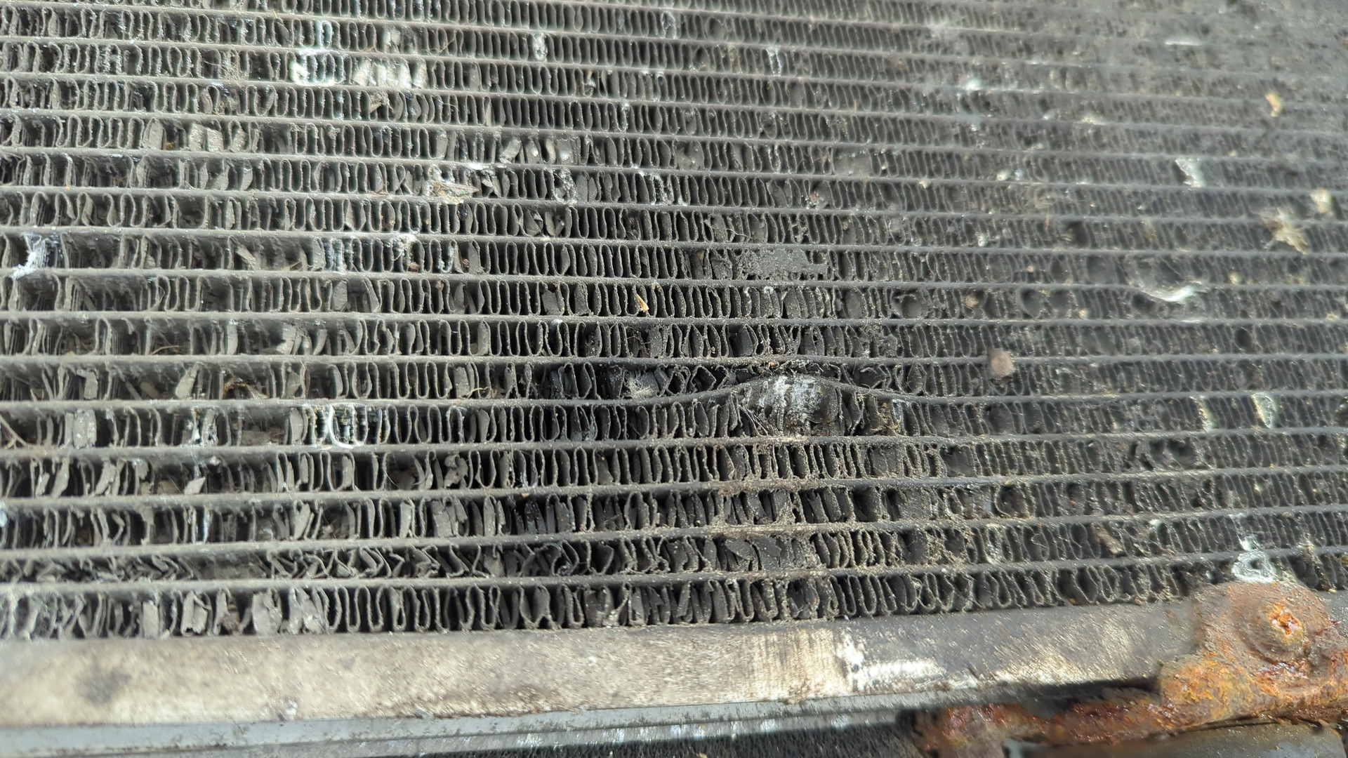 Радиатор охлаждения двигателя основной