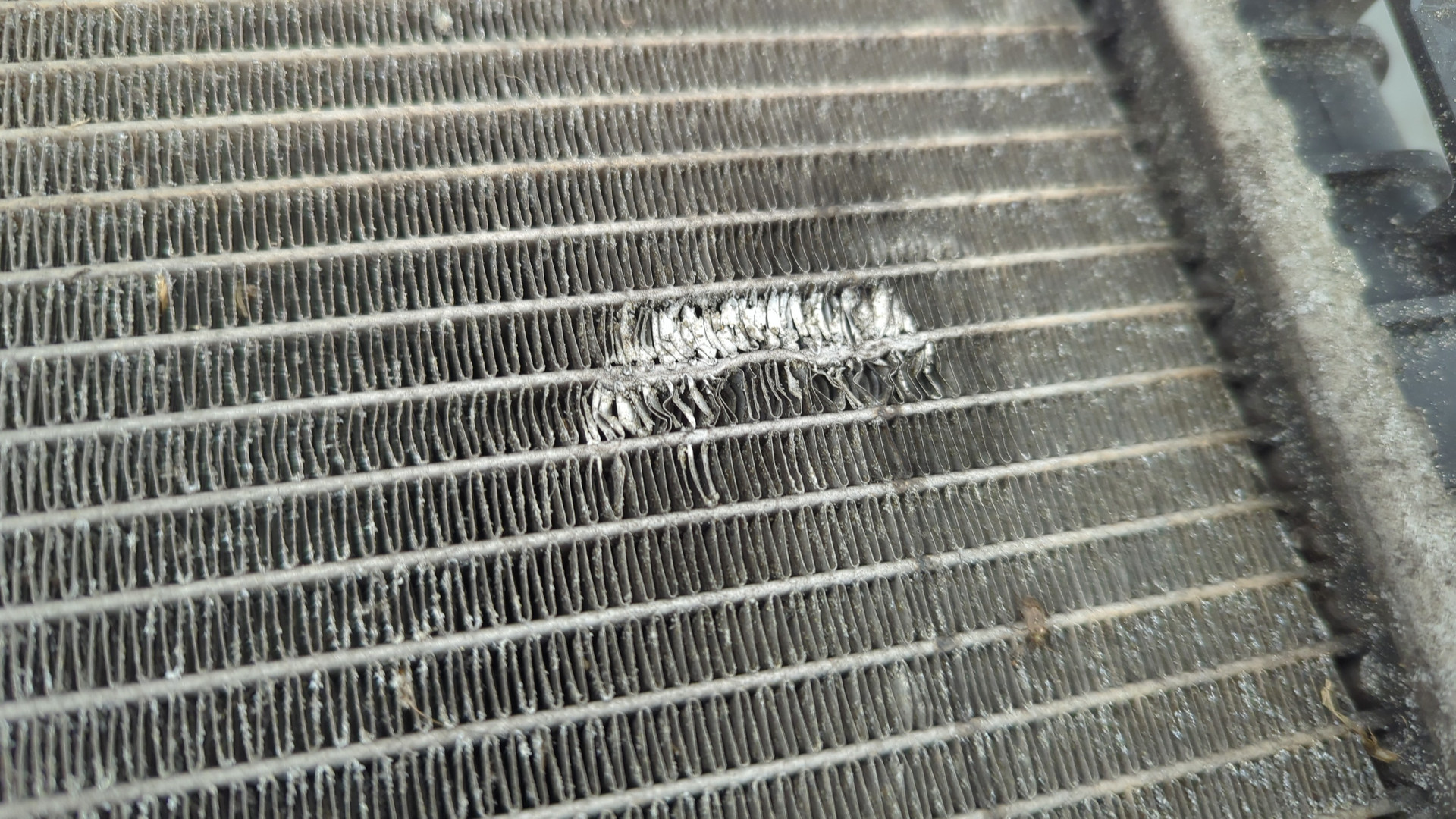 Радиатор охлаждения двигателя основной