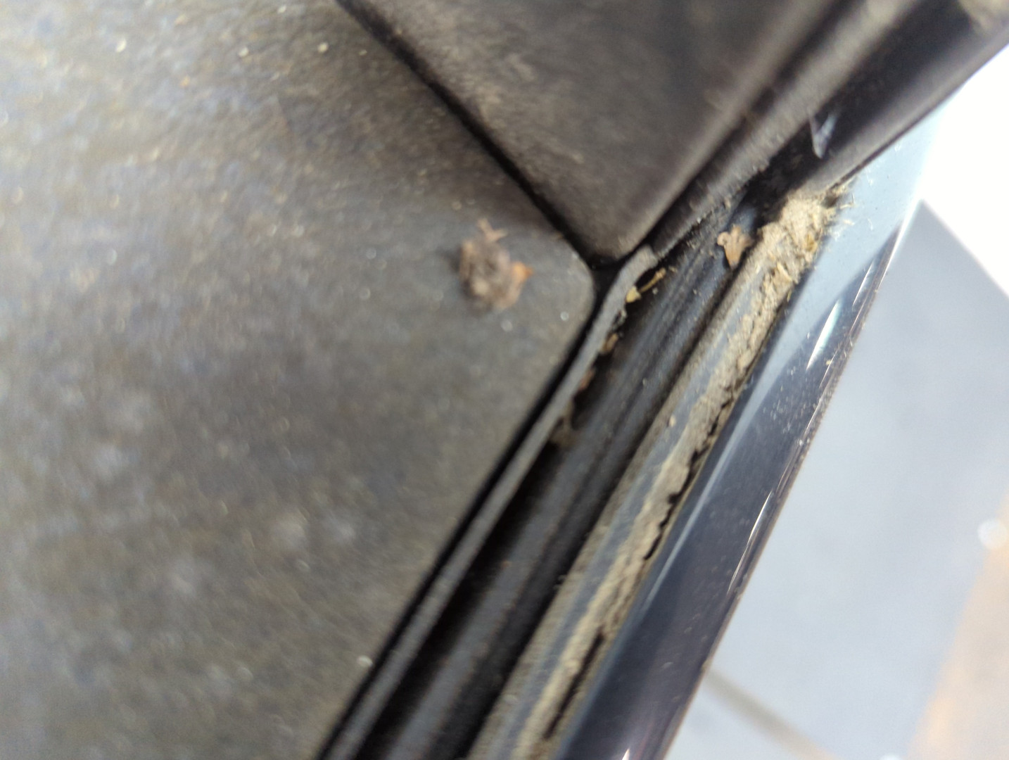 Дверь задняя правая